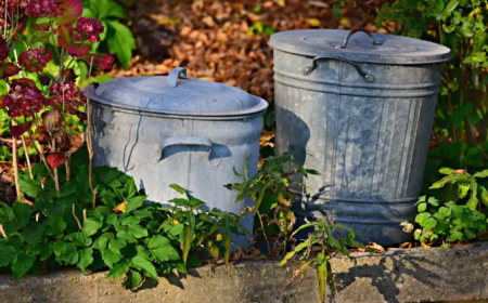 Bhadrapada Month 2024 : भाद्रपद महीना आरंभ, जानें भादो में क्या करें क्या न करें