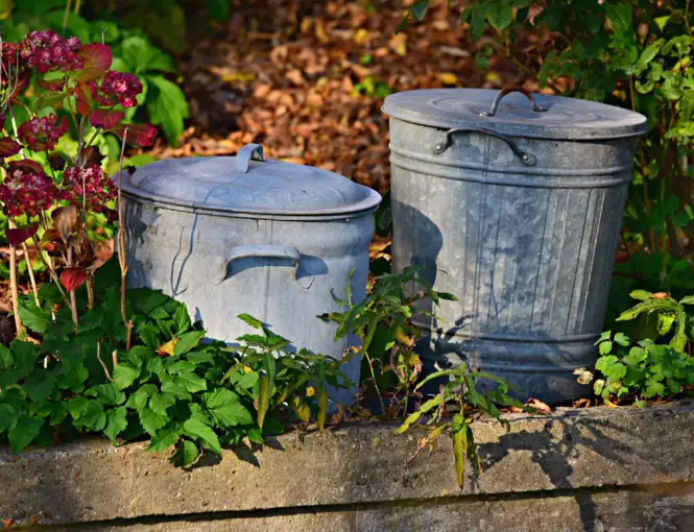 Bhadrapada Month 2024 : भाद्रपद महीना आरंभ, जानें भादो में क्या करें क्या न करें