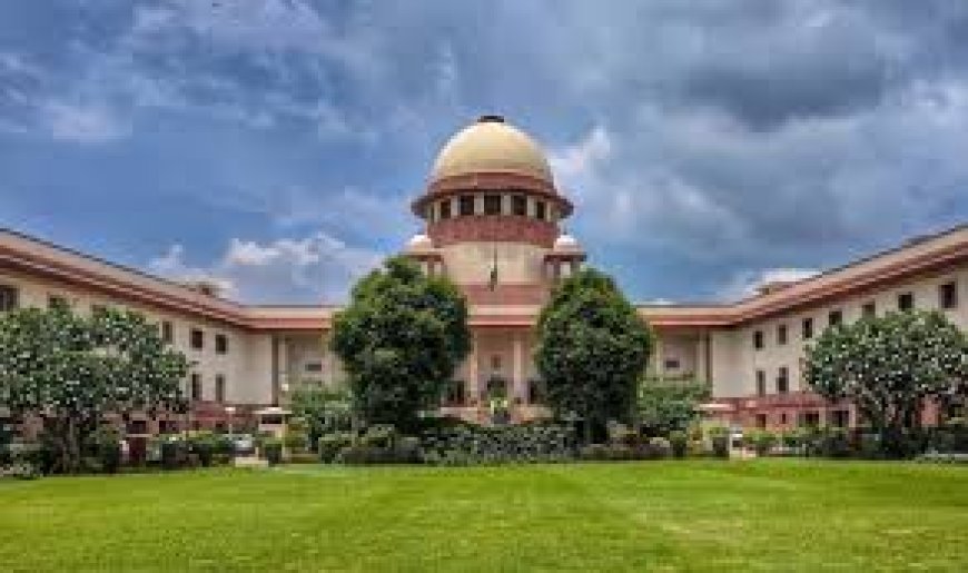 Kolkata Doctor Rape-Murder Case Supreme Court Hearing Live: Don't use social media to make an argument, we know what 150g refers to in autopsy, apex court tells counsel