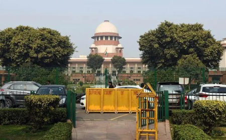 'बुलडोज़र एक्शन' पर सुप्रीम कोर्ट की रोक, तोड़फोड़ की कार्रवाईयों पर क्यों उठते रहे सवाल?