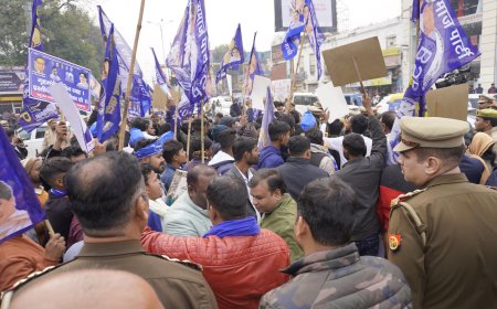 अमित शाह के विवादित बयान पर भड़के बसपा कार्यकर्ता लखनऊ में किया जमकर प्रदर्शन