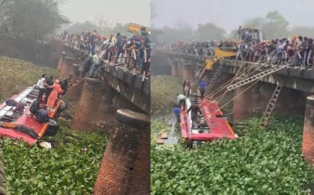 सरदूलगढ़ से भटिंडा जा रही निजी बस नाले में गिरी, 8 लोगों की मौत, 35 घायल