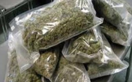 केरल में विधायक के बेटे समेत 9 लोग गिरफ्तार, विधायक ने खंडन किया आरोप