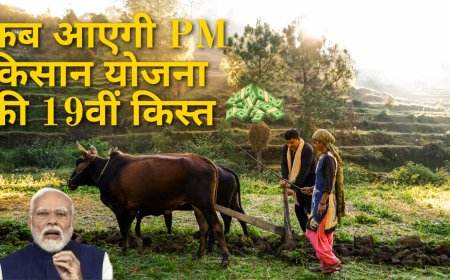 PM किसान सम्मान निधि की 19वीं किस्त कब जारी होगी, जानें क्या है चेक करने का तरीका
