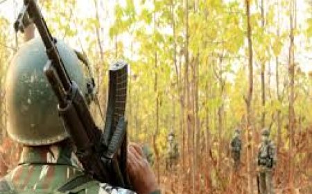 छत्तीसगढ़ के सुकमा जिले में नक्सलियों और सुरक्षाबलों के बीच मुठभेड़, अभियान जारी