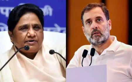 वित्त मंत्री निर्मला सीतारमण ने लोकसभा में बजट 2025 पेश किया, जाने विपक्ष की राय....