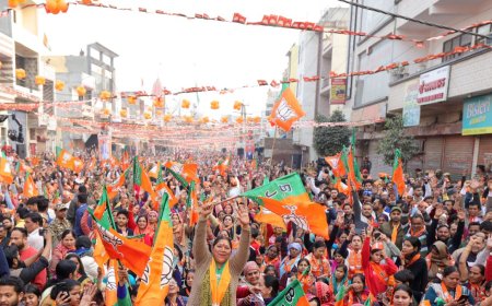 दिल्ली के मुस्तफाबाद का नाम बदलकर 'शिवपुरी' या 'शिवविहार' रखने की घोषणा, भाजपा प्रत्याशी मोहन सिंह बिष्ट का वादा पूरा